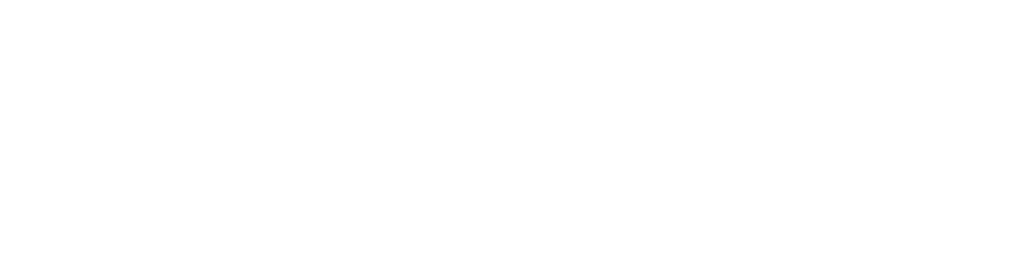 Alandspost Str Logo Neg